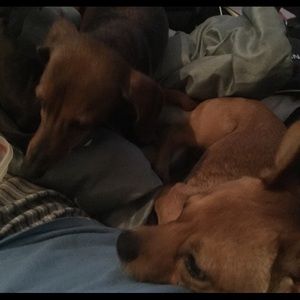 Meet your Posher, Brian